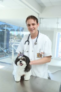 Dr. Cleverson Scheifer