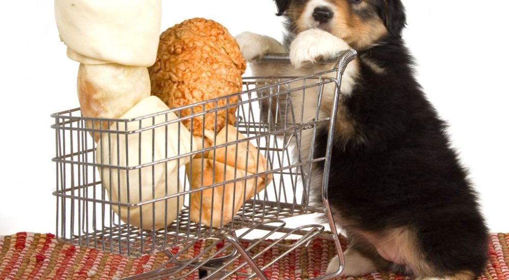 Pet shop  Arca de Noé