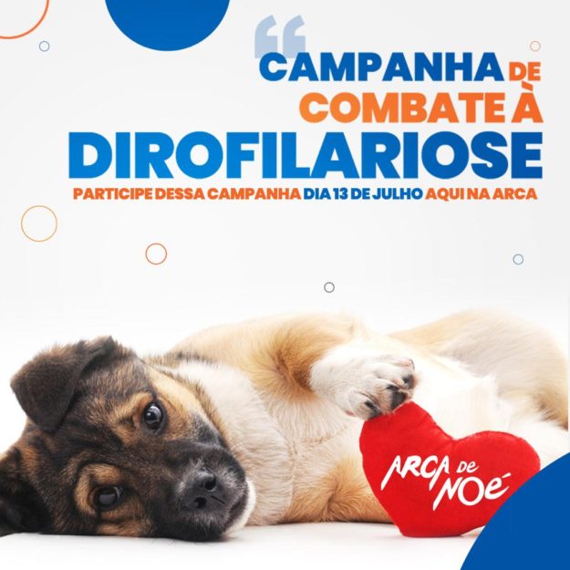 WhatsApp Image 2019-05-14 at 11.35.51