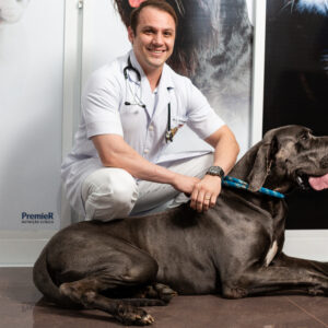 fotografia © 2020 Rubens Nemitz Jr