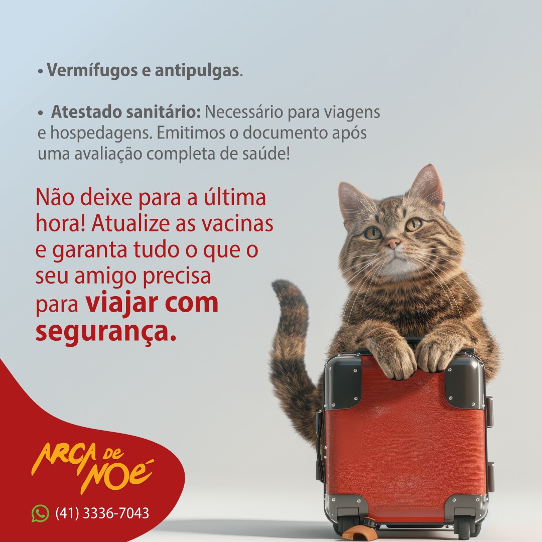 viajar com pet