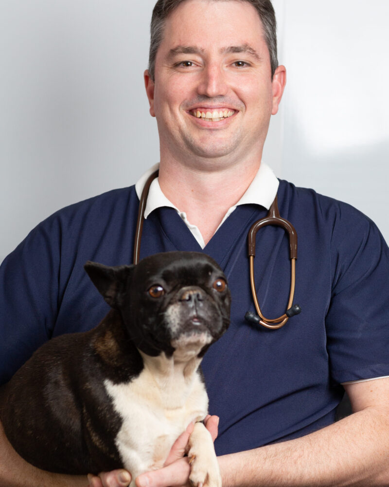 fotografia © 2020 Rubens Nemitz Jr