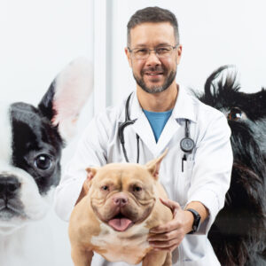 fotografia © 2025 Rubens Nemitz Jr